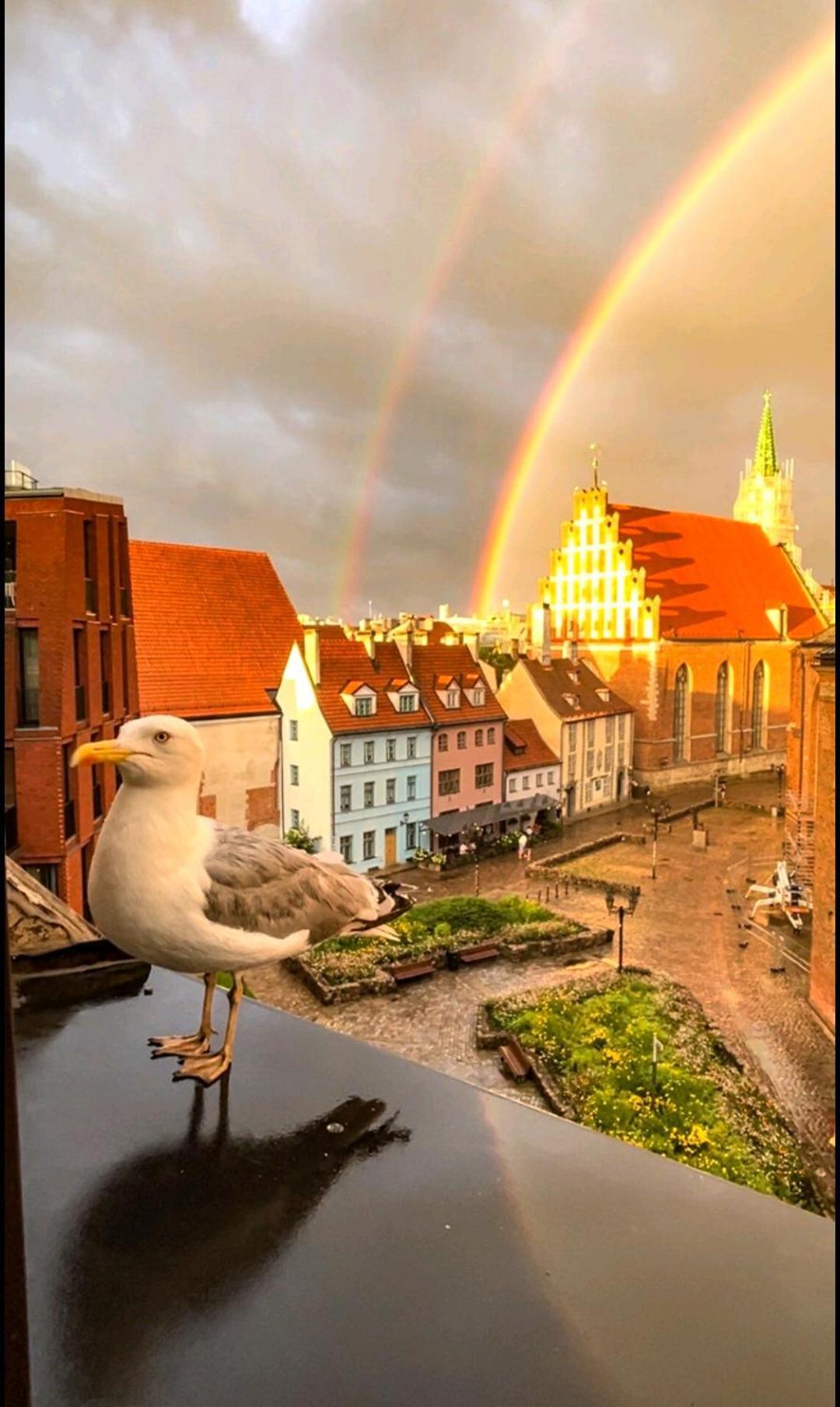 Old Town Retreat With Stunning Views 2 Bedroom Apartment Nearby The Church Of Saint Peter Riga Bagian luar foto